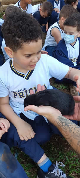 Bicho Mania 2022
